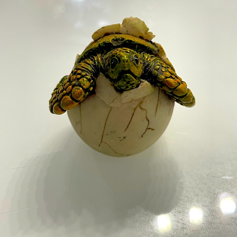 Cute Things Adorable Baby Sea Turtle Hatching from Egg